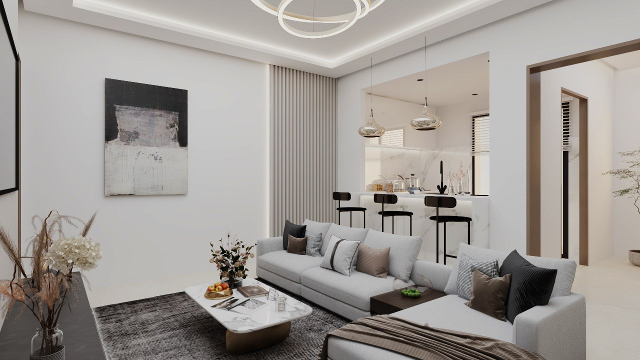 Salon et kitchenette S+1
